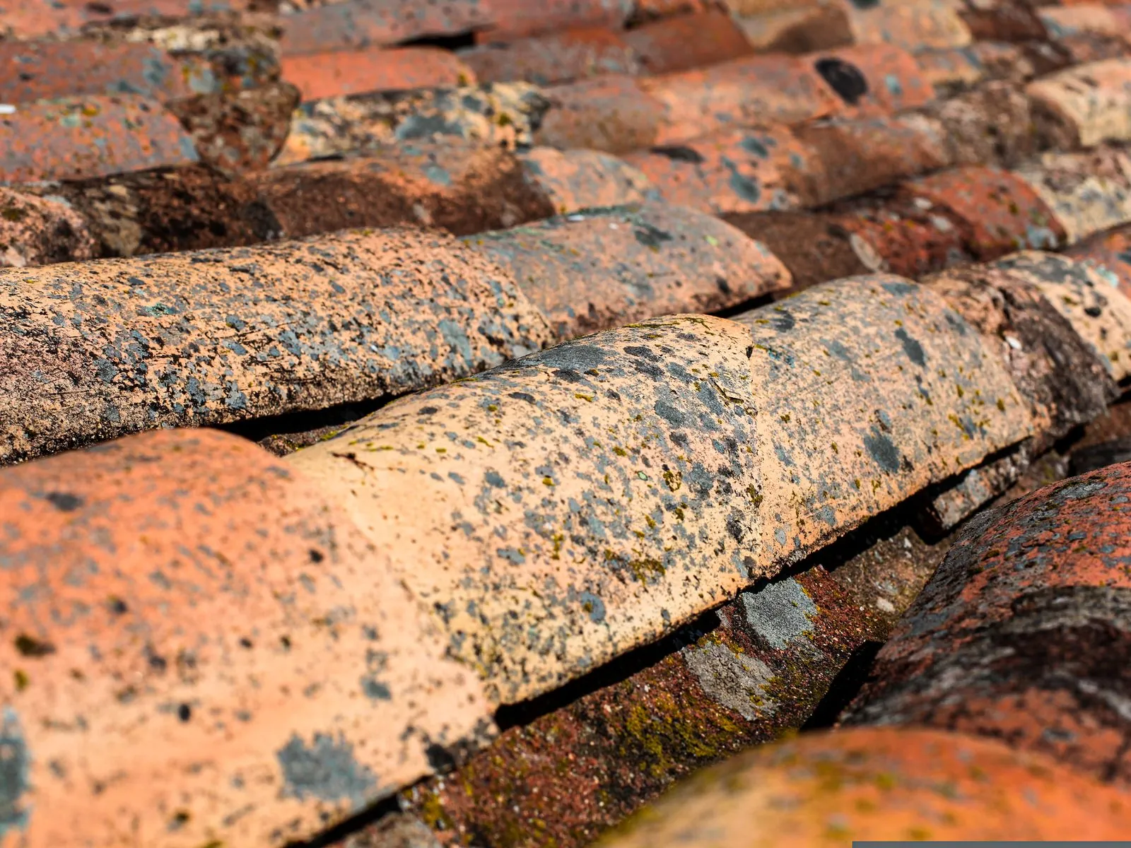 Damaged shingles close-up