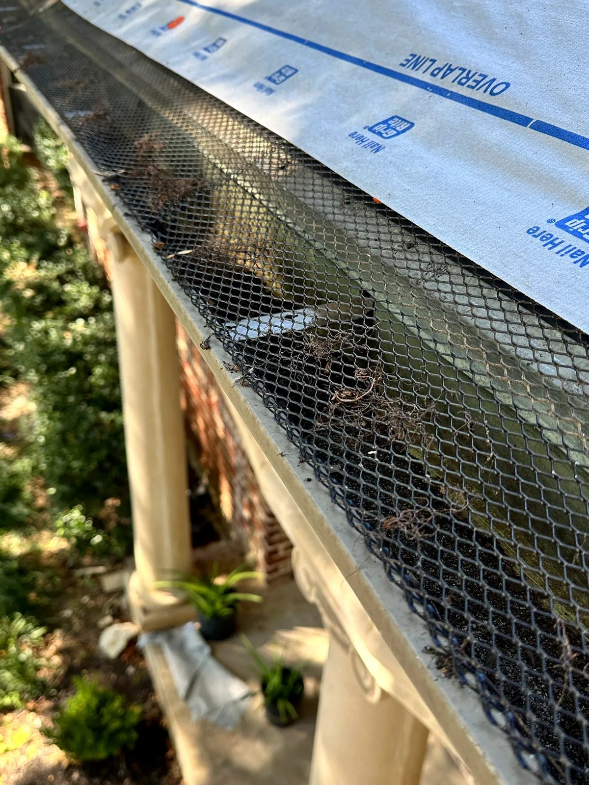 Gutter guard detail